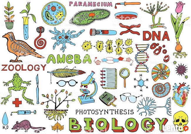 817993 korepetycje przyroda i biologia zdjecia