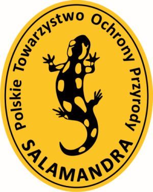 logo Salamandra male W11GA3P.jpg.700x700 q80