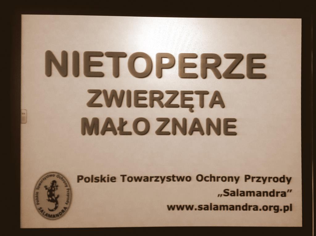 wykład nietoperze